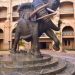 APMWC Bus Reviews in South Africa: Rider Experiences and Service Comparisons