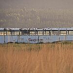 Boosting Bus Capacity in South Africa: Strategies for Safer, More Efficient Urban Transit