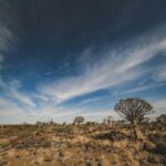 From South Africa to Namibia by Bus: Routes and Travel Tips