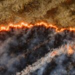 Bus Fire in South Africa Triggers Emergency Response