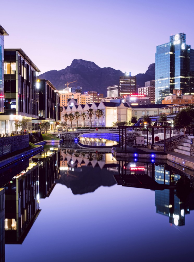 Bus and Bridge: South Africa’s Transit Revolution
