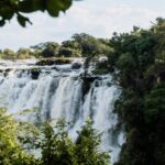 Bus to South Africa from Zambia: Routes, Costs, and Travel Tips