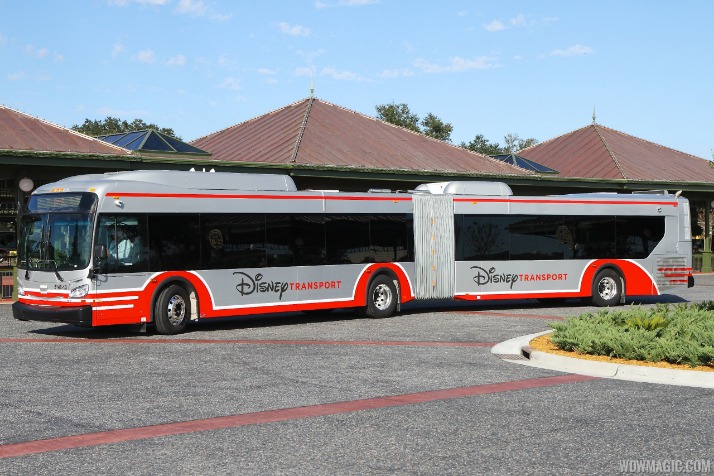 Bus Travel in New York: A Practical Guide to Getting Around the Big Apple