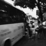 Bus Travel Reviews: What Riders Really Think About Comfort, Reliability, and Value