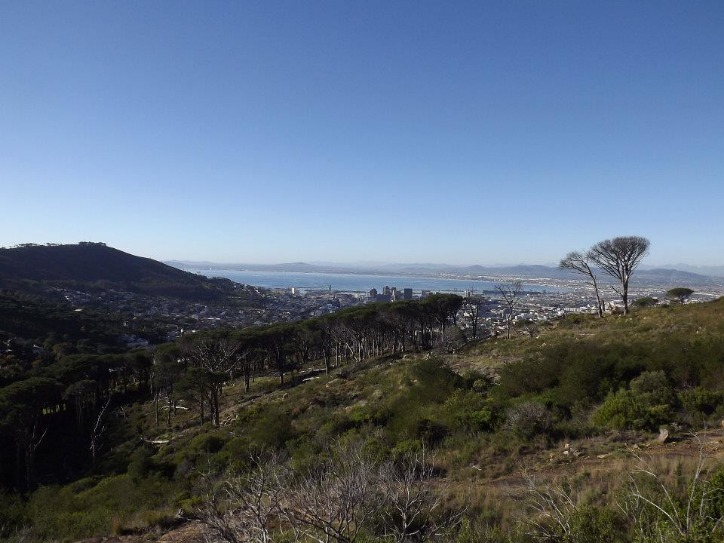 Red Buses, Real Change: How South Africa’s Public Transit Is Moving People